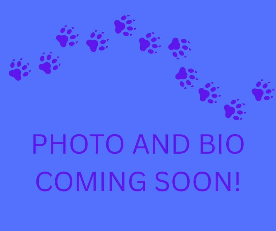 Tamara Raidoo, B.A., DVM