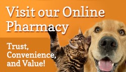 ONLINE PHARMACY Banner